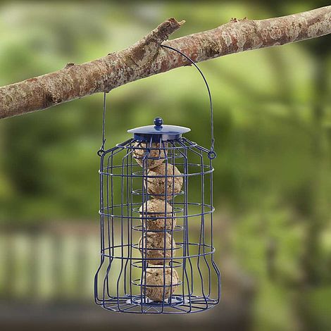 Nature’s Market Wild Bird Suet Ball Feeder with Squirrel Guard